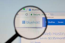How to Make the Most of Affiliate Marking Programs 10 Pro tips 3 Bluehost Ingage under magnifying glass